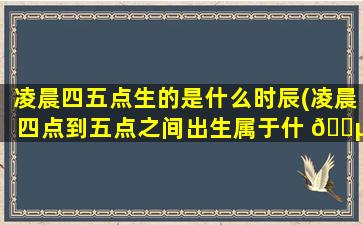 凌晨四五点生的是什么时辰(凌晨四点到五点之间出生属于什 🌵 么时辰)